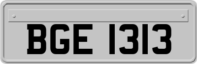 BGE1313