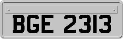 BGE2313
