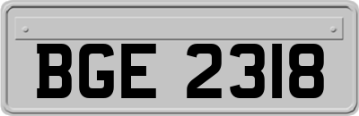 BGE2318