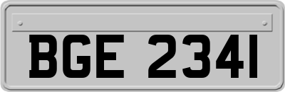 BGE2341