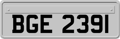 BGE2391