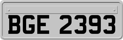 BGE2393
