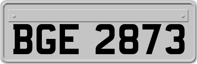 BGE2873
