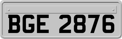 BGE2876