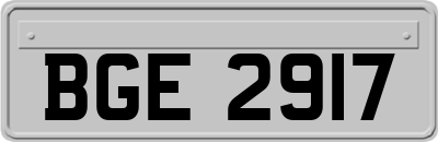 BGE2917