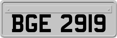 BGE2919