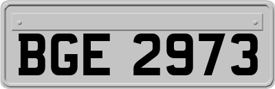 BGE2973