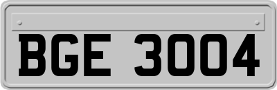 BGE3004
