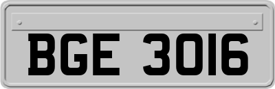 BGE3016