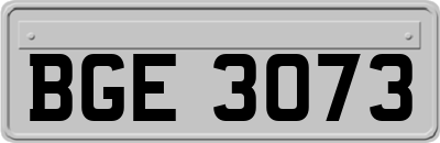 BGE3073