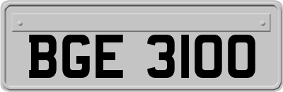 BGE3100