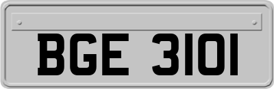 BGE3101