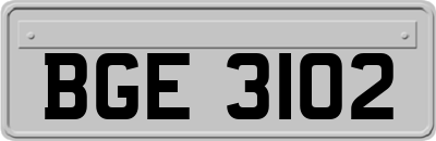 BGE3102