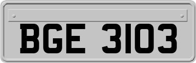 BGE3103