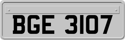 BGE3107