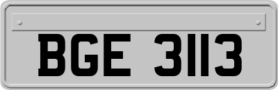 BGE3113