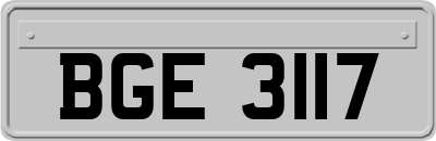 BGE3117