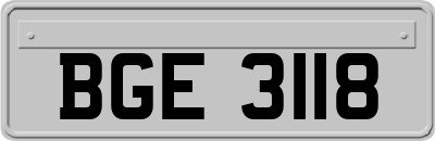 BGE3118