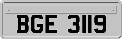 BGE3119