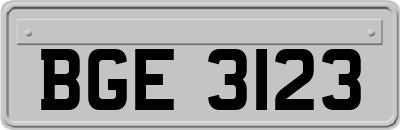 BGE3123
