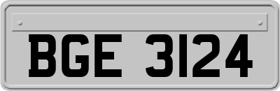 BGE3124