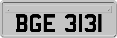 BGE3131