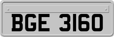 BGE3160