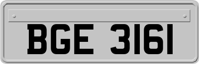 BGE3161
