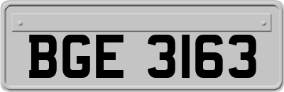 BGE3163