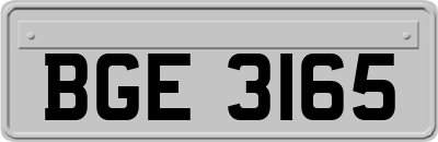 BGE3165