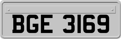 BGE3169
