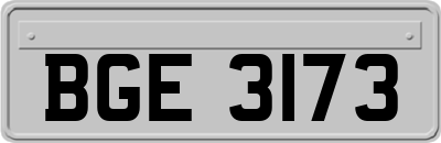 BGE3173