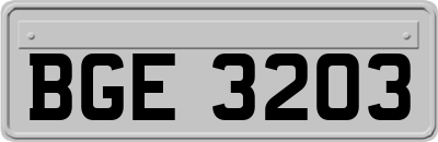 BGE3203