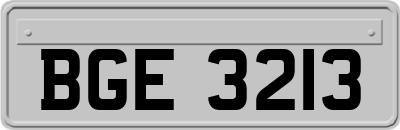 BGE3213