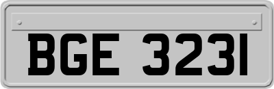 BGE3231