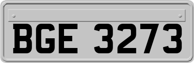 BGE3273