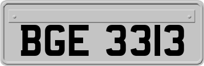 BGE3313
