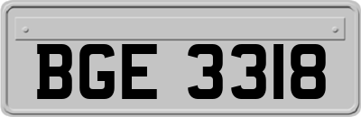 BGE3318