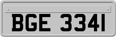 BGE3341