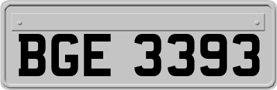 BGE3393