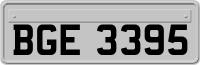 BGE3395