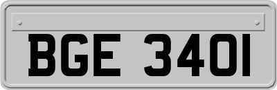 BGE3401