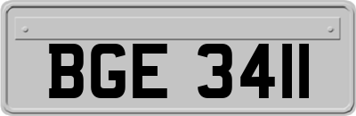 BGE3411