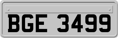 BGE3499