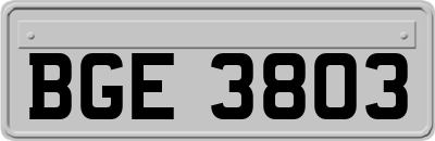 BGE3803