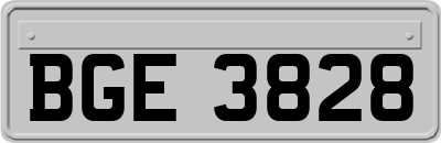 BGE3828