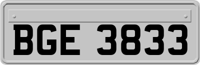 BGE3833