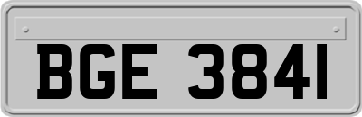 BGE3841