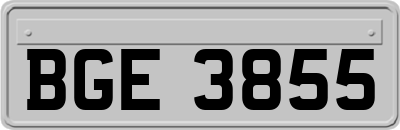 BGE3855