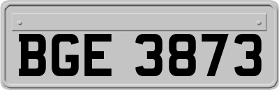 BGE3873